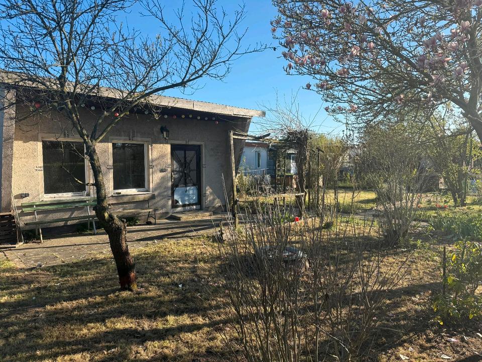 Thumbnail-KleingartenSchrebergartenPachtgartenGarten abzugeben