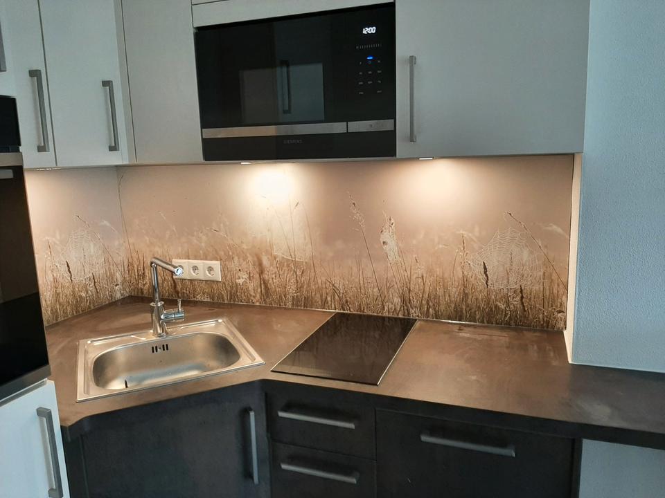 Thumbnail-1-Zi. App. in Waldk. 40qm ab Aug. 26 möbiliert zu vermieten