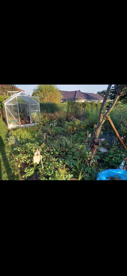 Thumbnail-Schreber-Garten in Freital Wurgwitz abzugeben