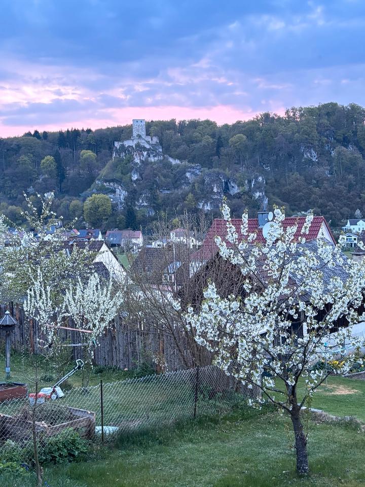 Thumbnail-Einfamilienhaus im Dornröschenschlaf