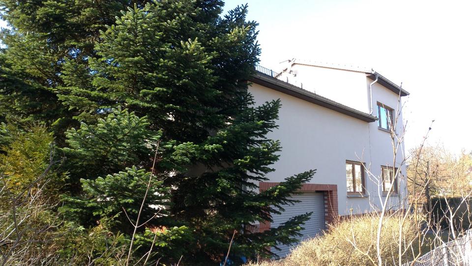 Thumbnail-Haus im ruhigen Babelsberg