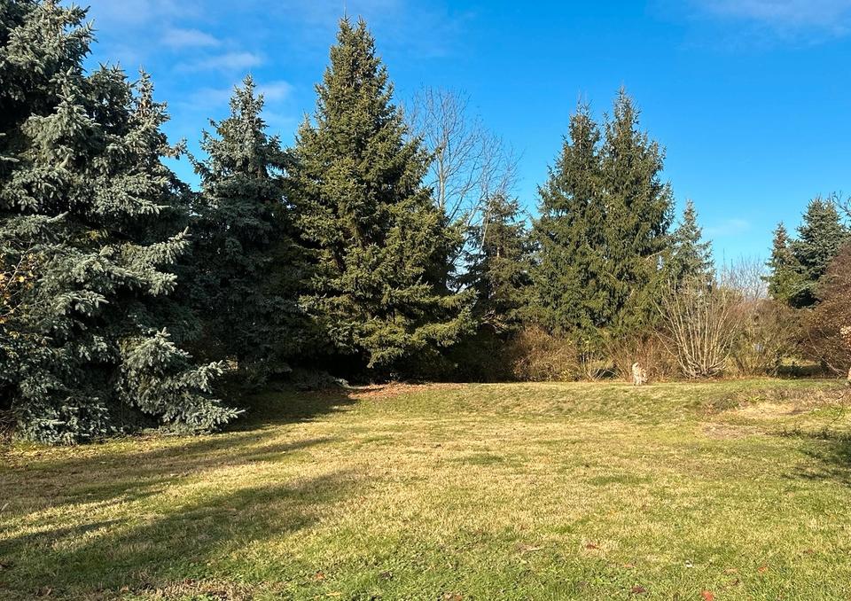 Thumbnail-Einfamilienhaus mit großem Grundstück in Süptitz