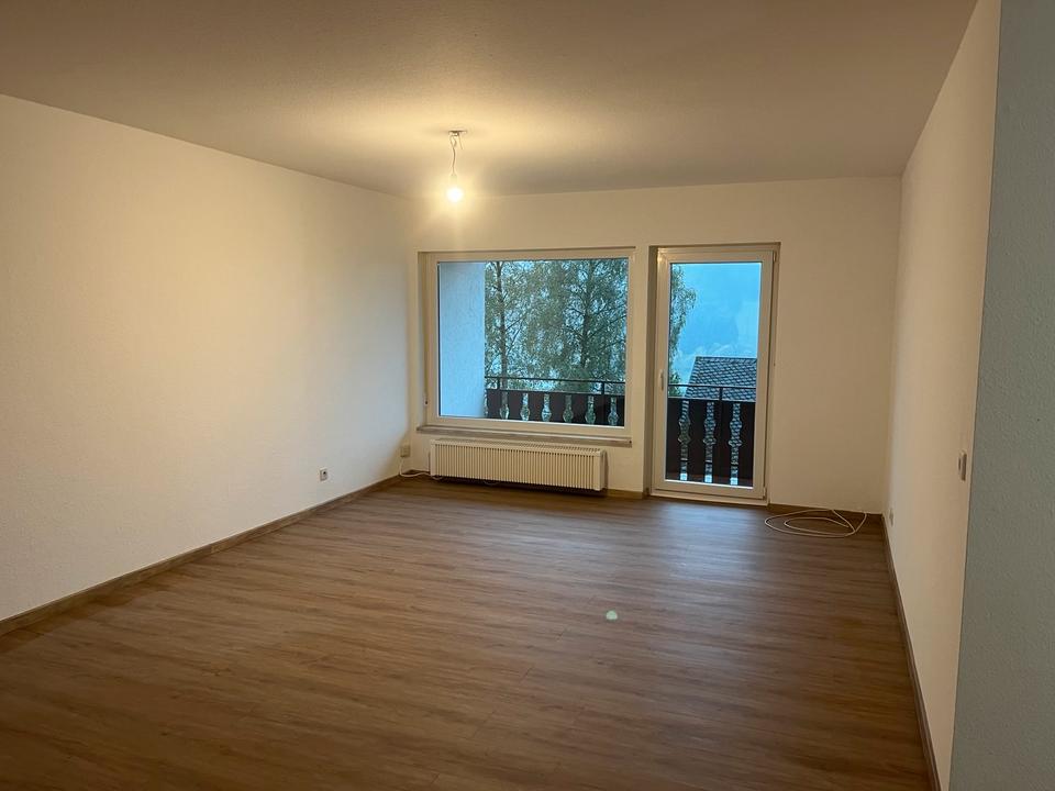 Thumbnail-Wohnung am Hillebachsee Winterberg - Ferienvermietung gestattet