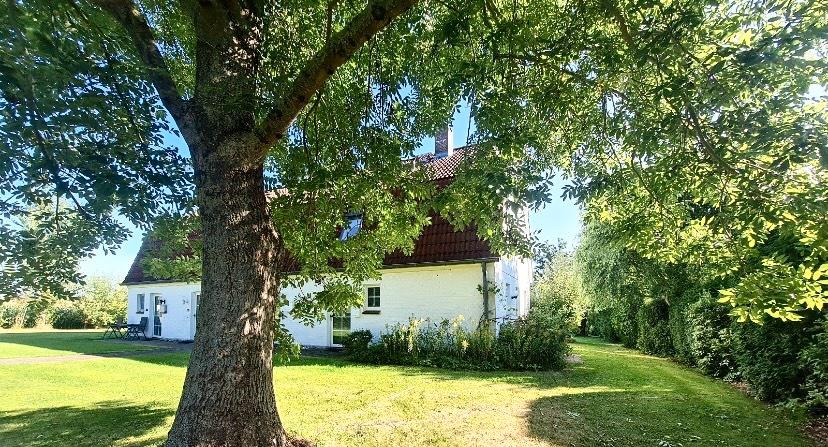 Thumbnail-Sommerferien an der Ostsee Ferienhaus Ferienwohnung für Familien