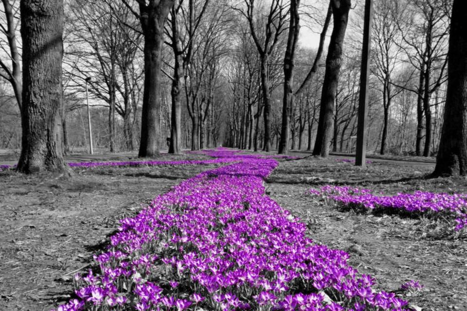 Thumbnail-Siedlungshof in Alleinlage