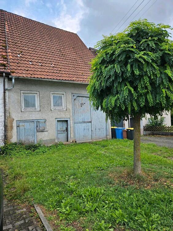 Thumbnail-Haus mit Grundstück (334 m²) Spaichingen