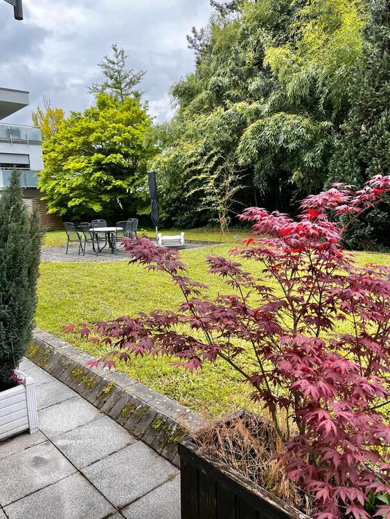 Thumbnail-Seniorengerechte Wohnung - sichere Kapitalanlage