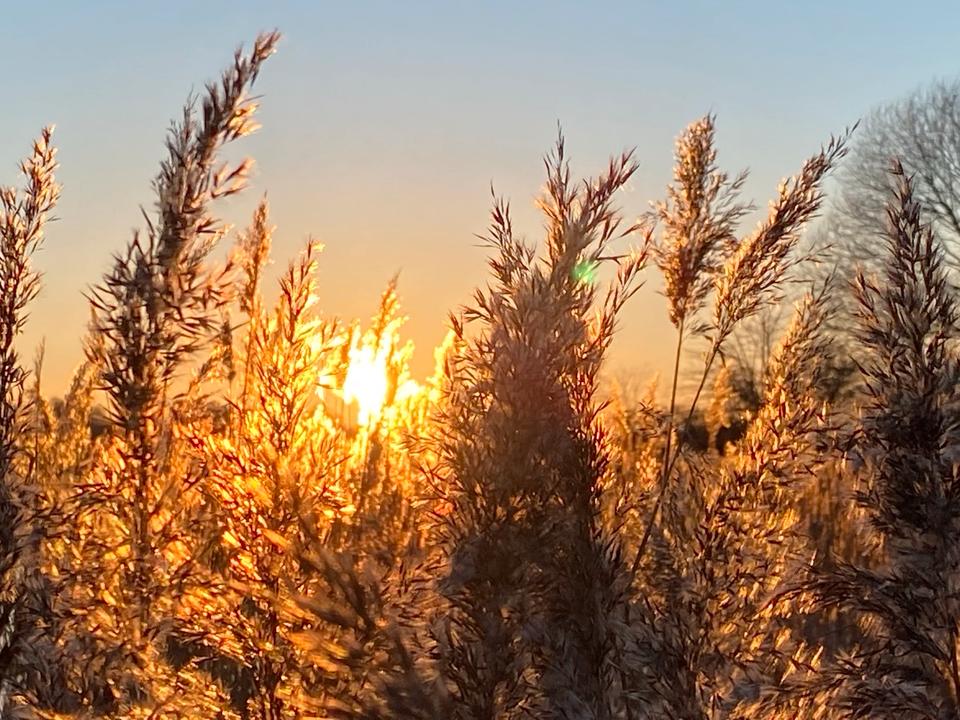 Thumbnail-Ferienhaus Kappeln , Ostsee, Schlei