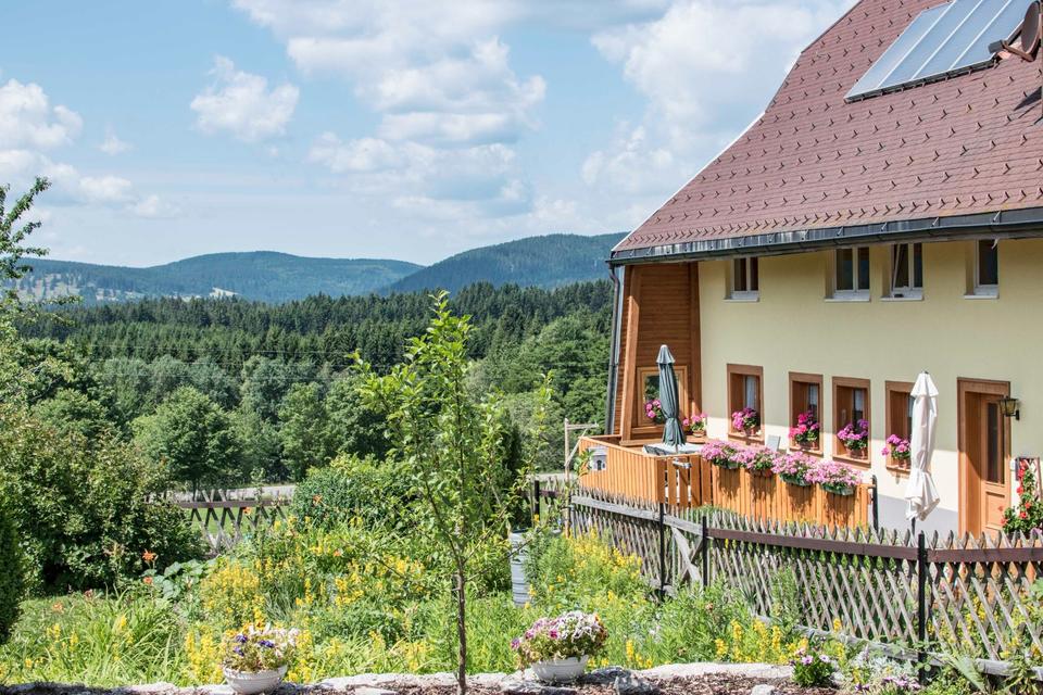 Thumbnail-Ferienwohnung in Faulenfürst-Schluchsee im Schwarzwald