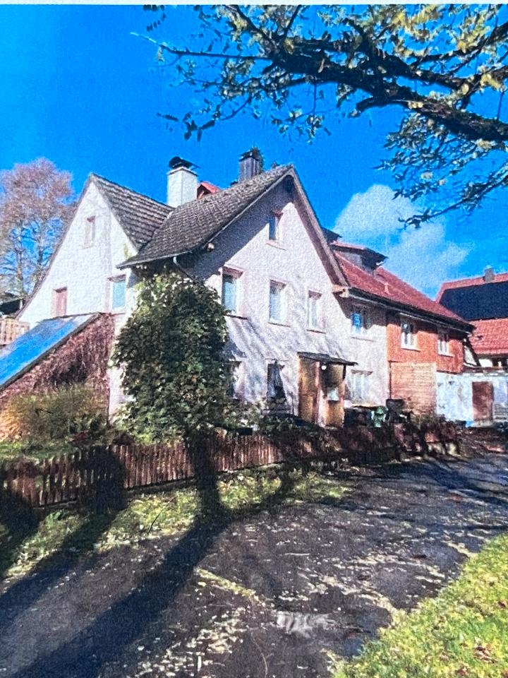 Thumbnail-Zwei Häuser mit großem Grundstück