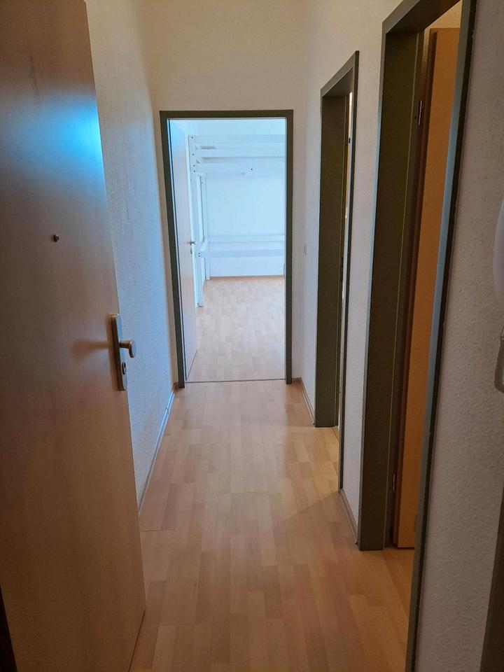 Thumbnail-kleine aber helle Wohnung in der FleischervorstadtGreifswald