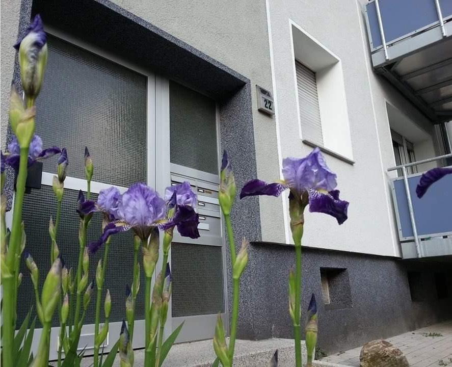 Thumbnail-Dachgeschosswohnung 2,5 Zi.