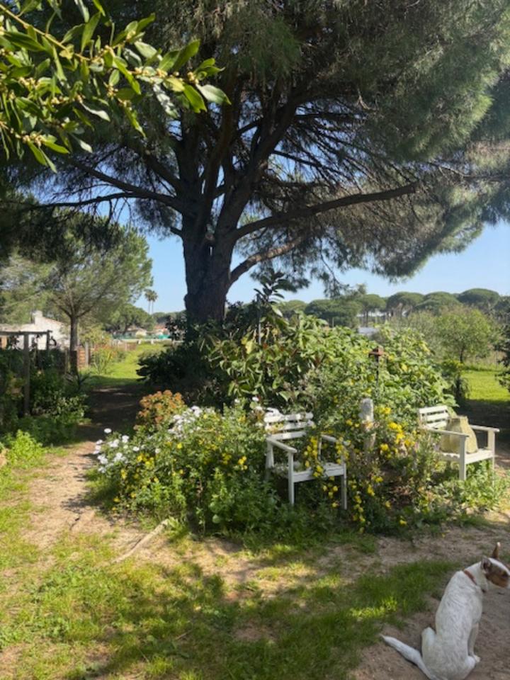 Thumbnail-Traumfinca Andalusien mit zwei separaten Wohnhäusern in Bonares