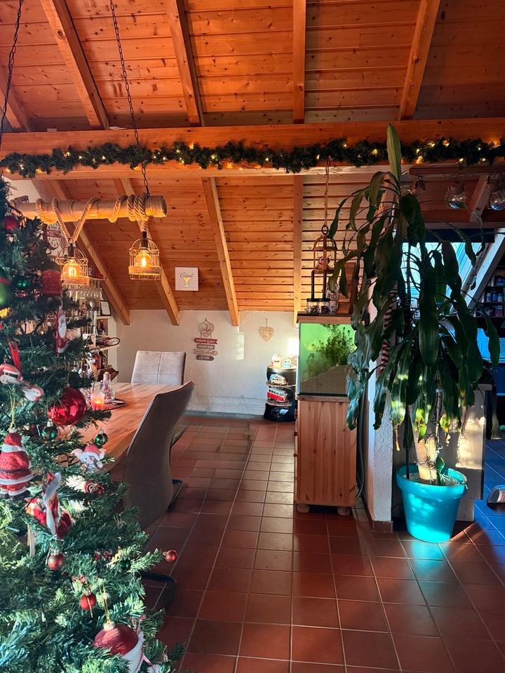 Thumbnail-3 Zimmer Küche Bad