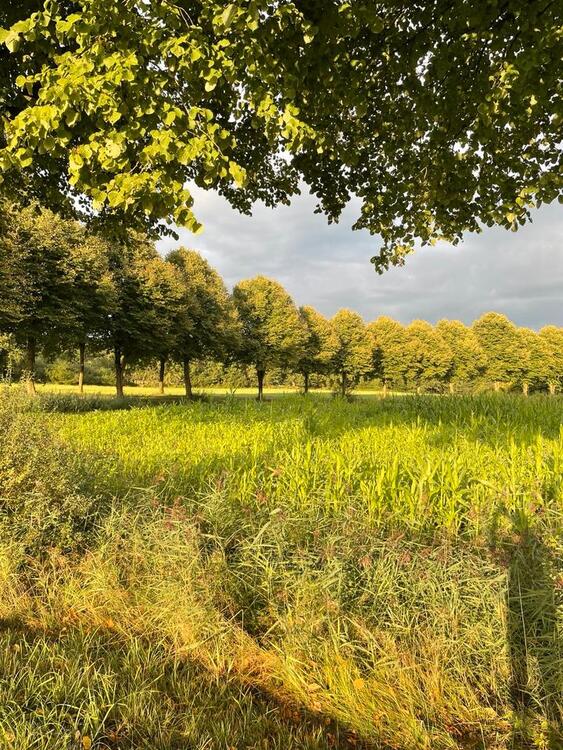 Thumbnail-Ferienwohnung „Unter den Linden „ Ostfriesland