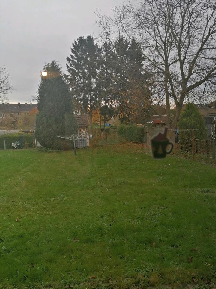 Thumbnail-Ich suhe einen Hauptmiterin