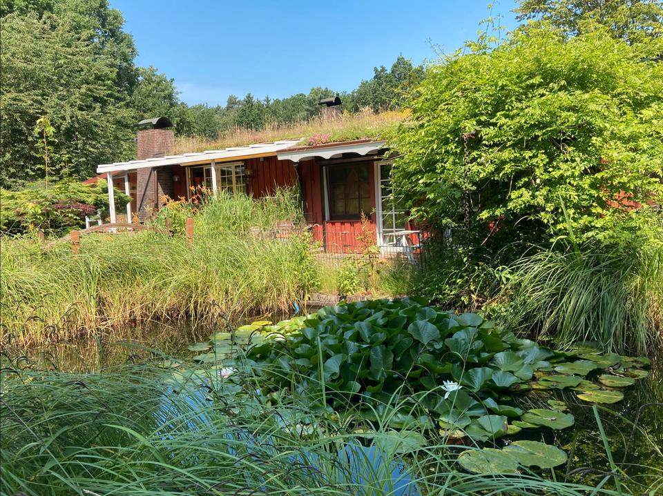 Thumbnail-Außergewöhnliches Anwesen auf 7.000qm Grundstück in Heist