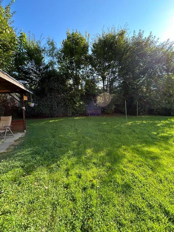 Thumbnail-Gepflegte 3-Zimmer-Wohnung mit Kellerraum – ab sofort bezugsfrei!