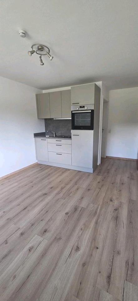 Thumbnail-1-Zimmerwohnung für PendlerWochenendheimfahrer in Ochsenhausen
