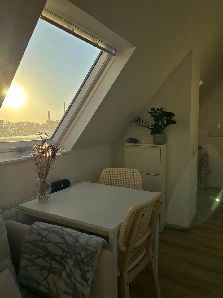 Thumbnail-Helle 1-Zimmer-Wohnung