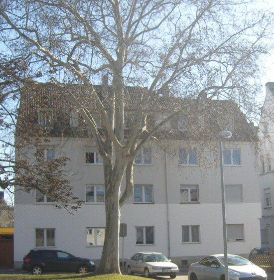 Thumbnail-DG-Wohnung ab sofort: 2ZKBB, 60m², 580 + NK200 + KT