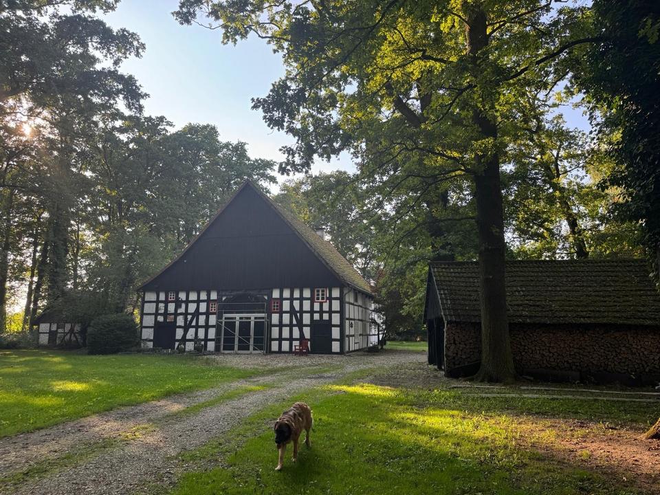 Thumbnail-Fachwerkhaus Anno 1806, Teilsaniert