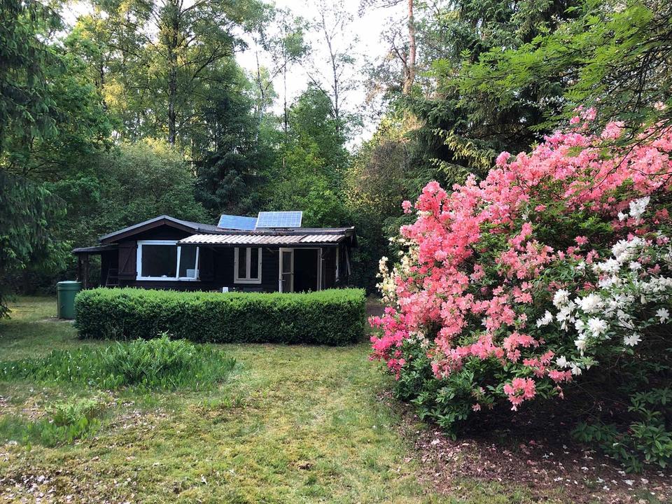 Thumbnail-Wochenendhaus Waldhütte auf 5.000qm bei Rothenburg (Wümme)