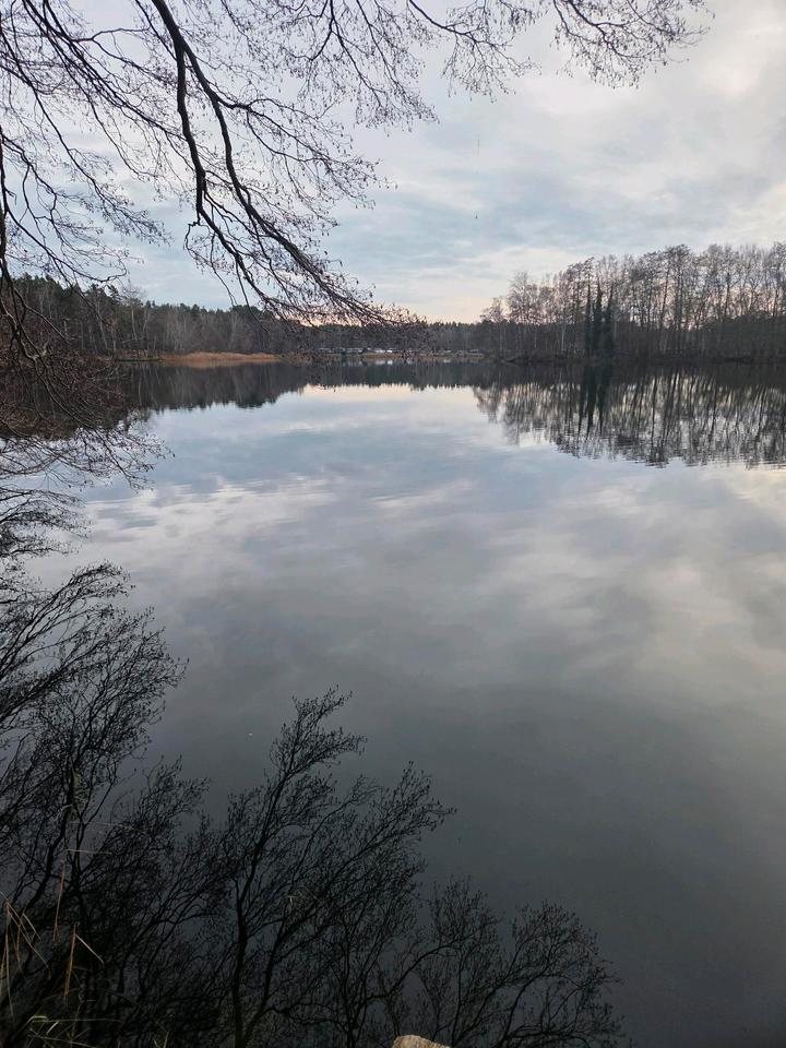 Thumbnail-Ferienhaus am See