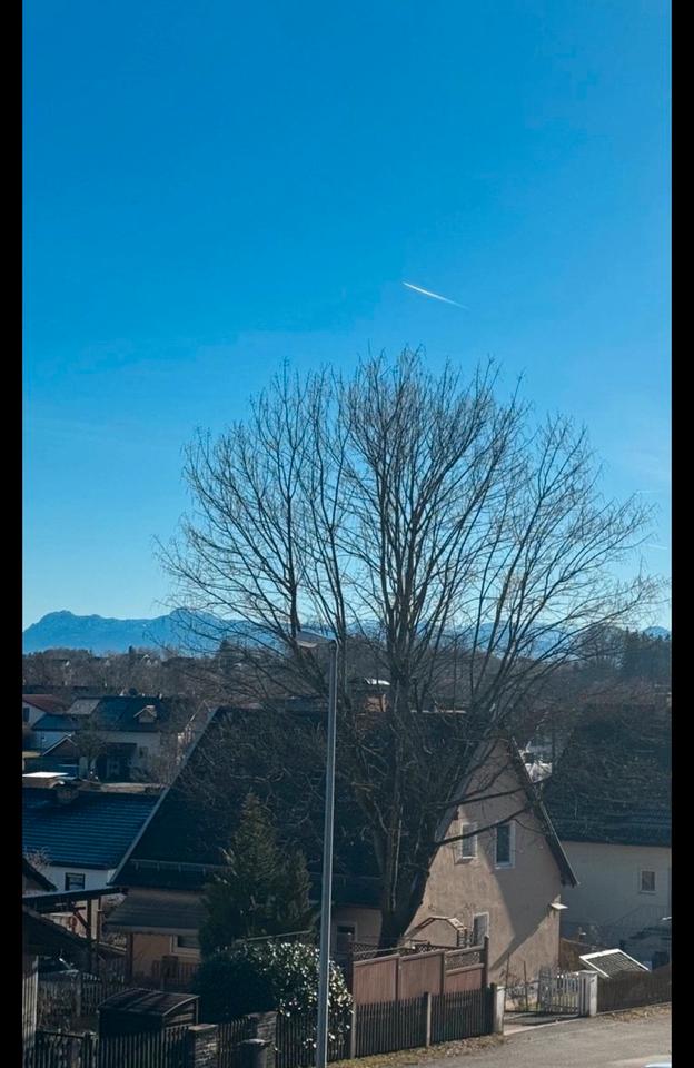 Thumbnail-Baugrundstück mit Alpenblick – ideal für Familien & Bauträger