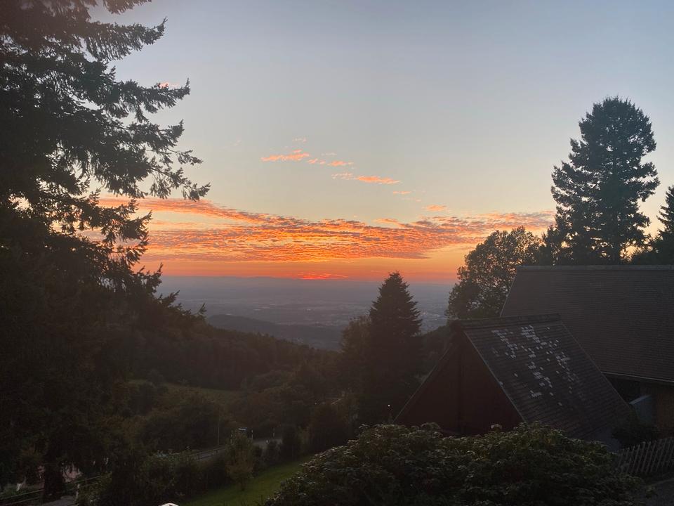 Thumbnail-Dachgeschosswohnung in Sasbachwalden zu vermieten