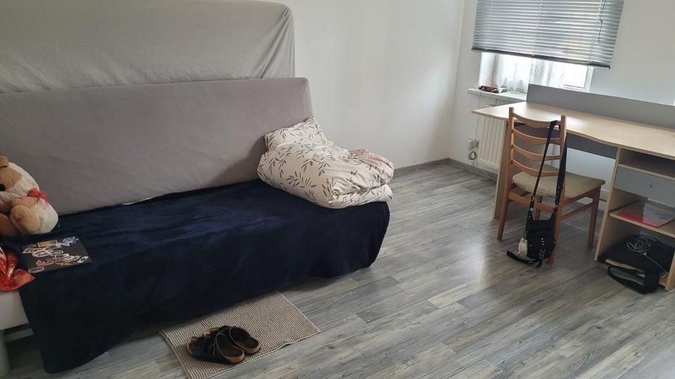 Thumbnail-1-Raum-Wohnung Einraumwohnung möbliert und gemütlich