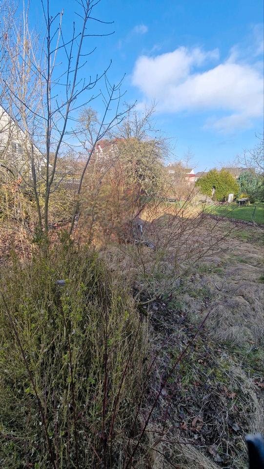 Thumbnail-Hofgeismar Kernstadt Baugrundstück mit Einfamilienhaus