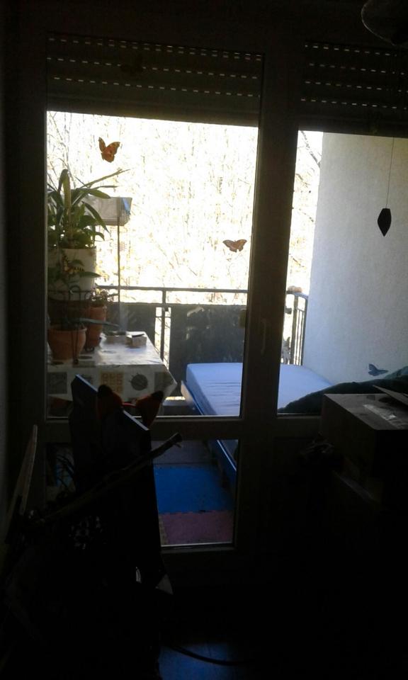 Thumbnail-geräumige zwei-zimmer Dachgeschosswohnung am Waldrand