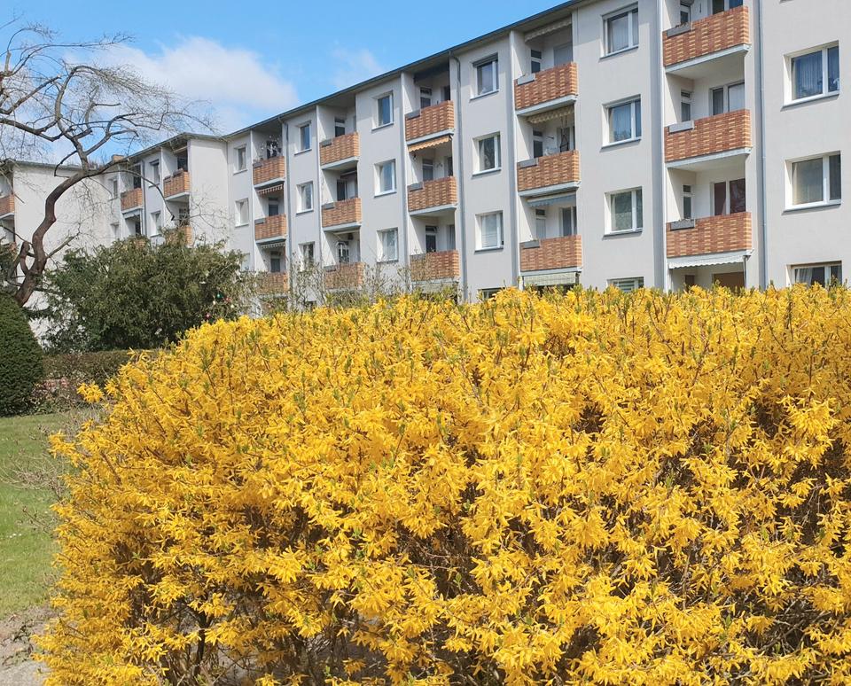 Thumbnail-Berlin 53m² freie 2 Zi Wohnung 12247 Balkon EBK kein Makler