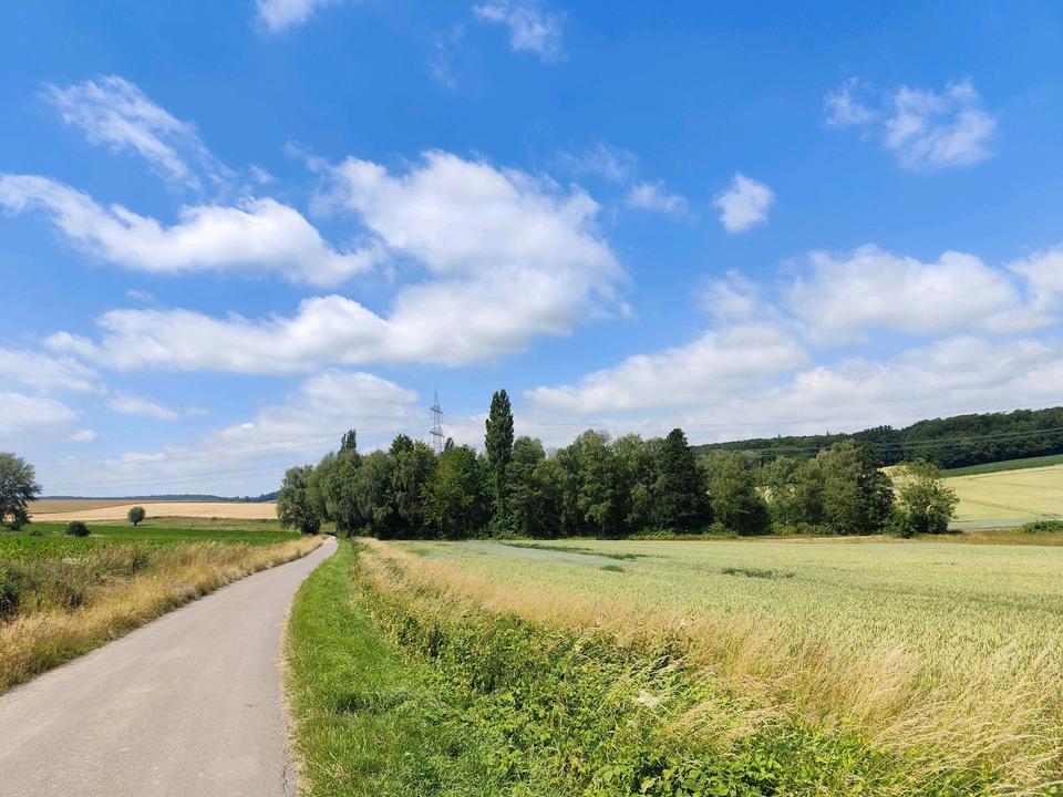 Thumbnail-Naturgrundstück in top Lage nahe Bad Nenndorf zu verkaufen