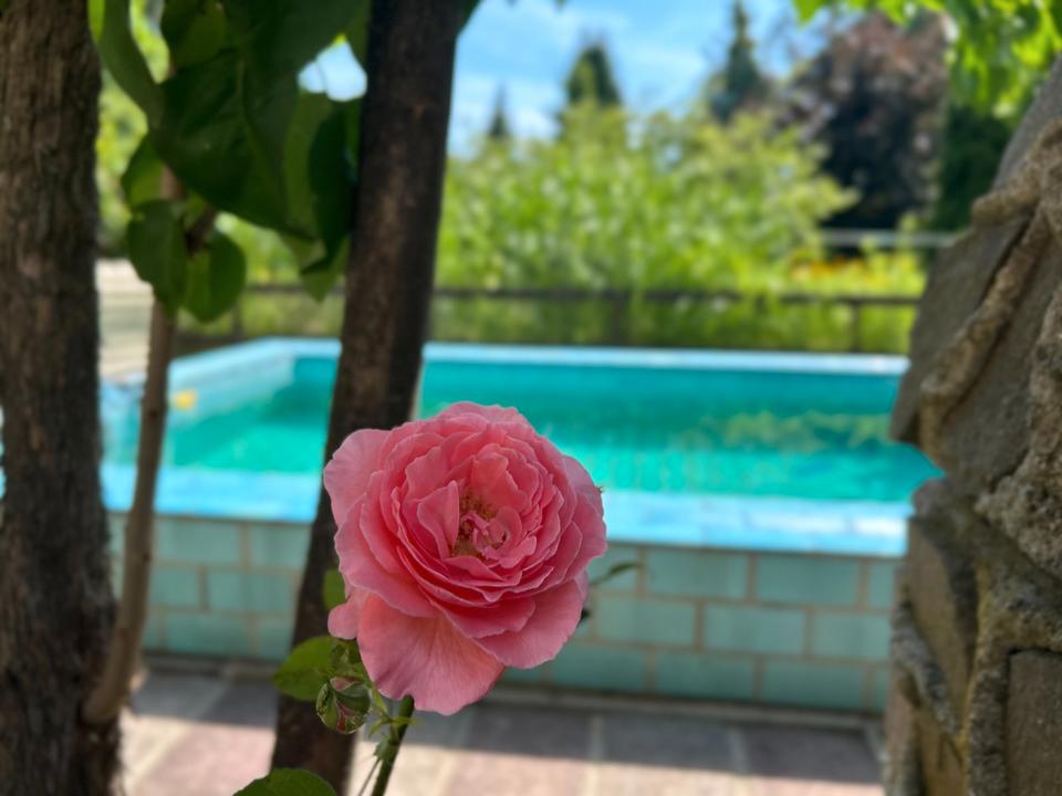 Thumbnail-Ein Zuhause mit Urlaubsgefühl: Einfamilienhaus in Mahlsdorf