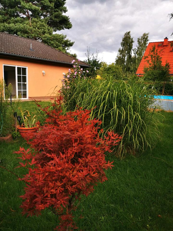 Thumbnail-Charmanter Bungalow mit Garten, Pool und viel Privatspäre
