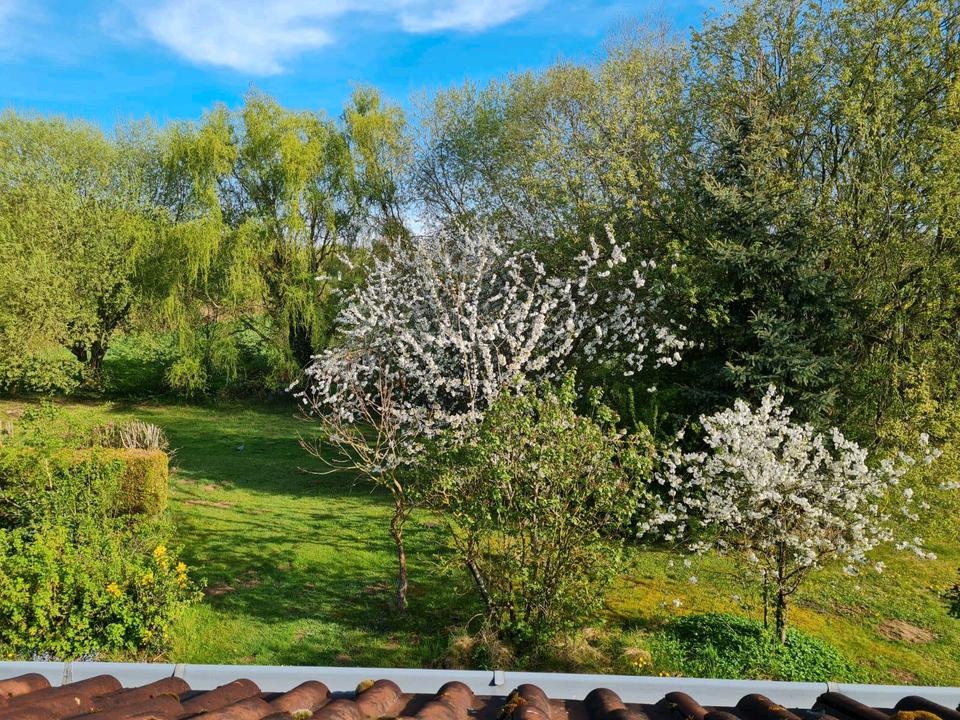 Thumbnail-Reihenmittelhaus im Grünen - ohne Makler