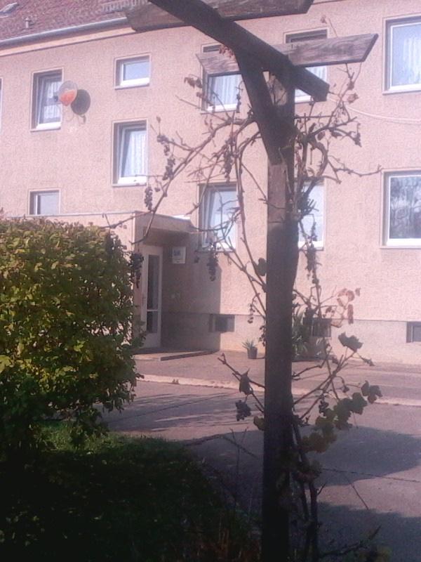 Thumbnail-3-Raum-Wohnung in ländlicher Umgebung von Staucha