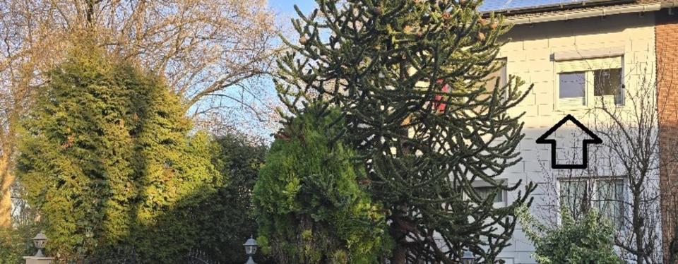 Thumbnail-Vollmöblierte und voll ausgestattete Wohnung (Bezugsfertig)