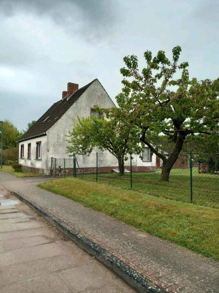 Thumbnail-Einfamilienhaus mit großem Grundstück