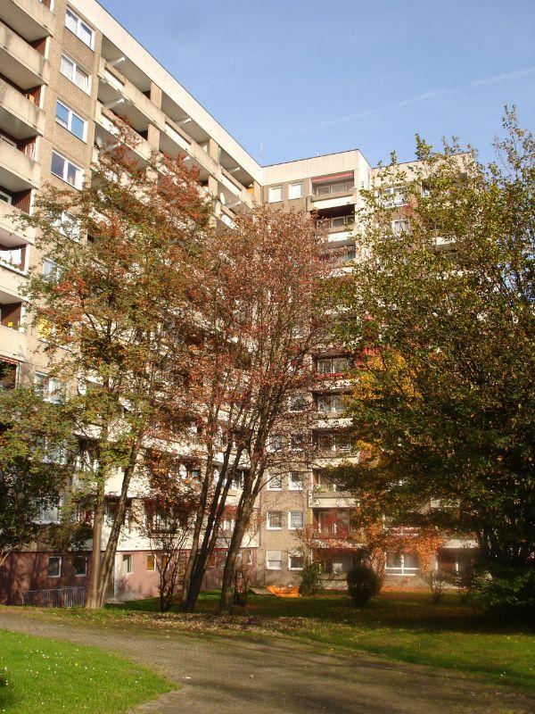 Thumbnail-Großzügige 3-Zimmer-Wohnung in grüner Lage