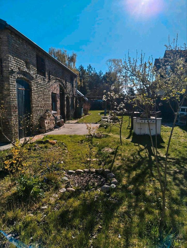 Thumbnail-ohne Provision Landhaus Villa 8 Zimmer 170qm Backsteinscheune