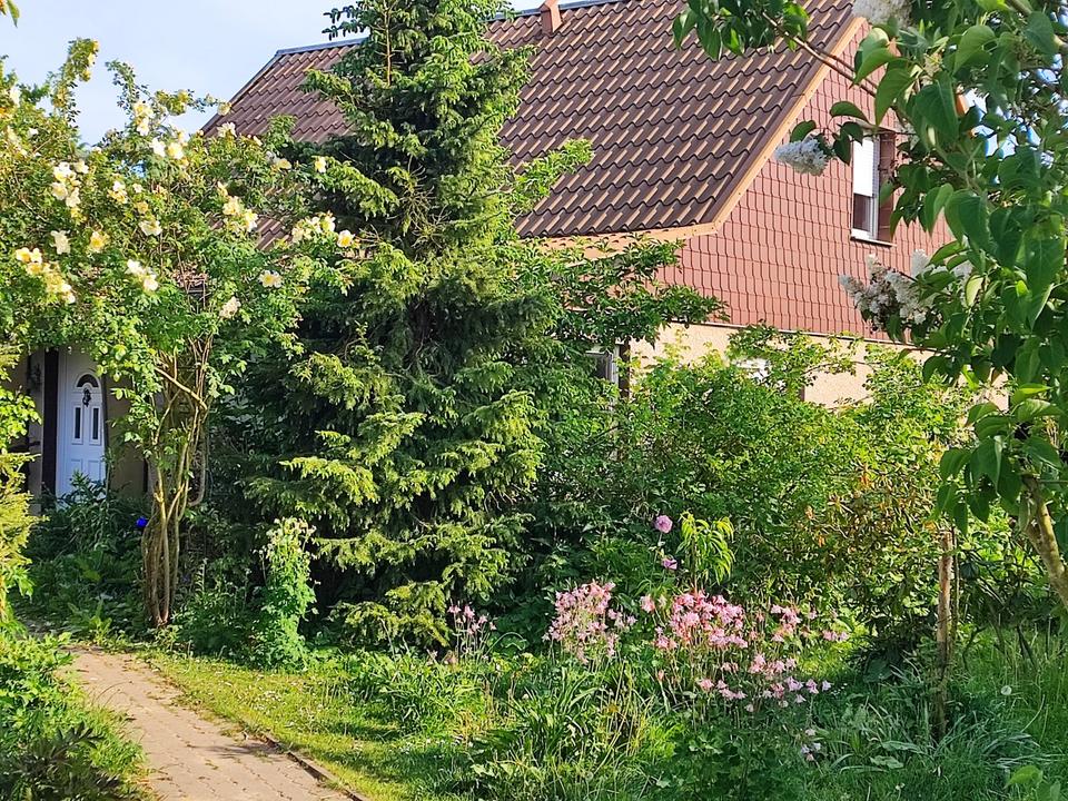 Thumbnail-Haus u. Grundstück von Privat in Ostseenähe zu verkaufen