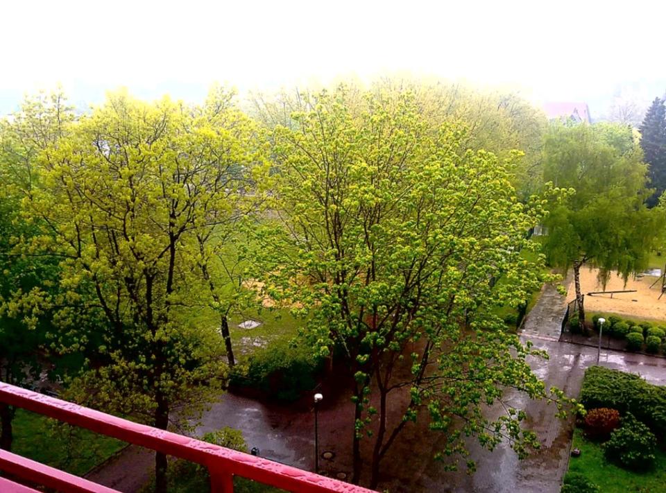 Thumbnail-Eigentumswohnung Wertanlage