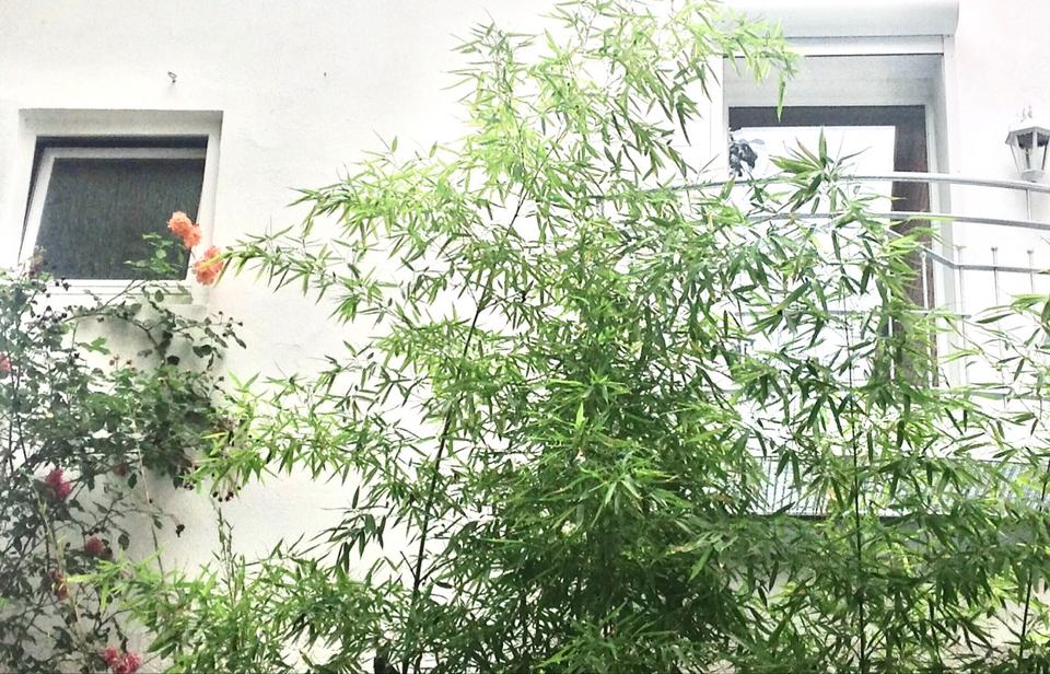 Thumbnail-Möblierte, gepflegte 1 Zimmerwohnung, Bad u. Küche, 580,- -kalt