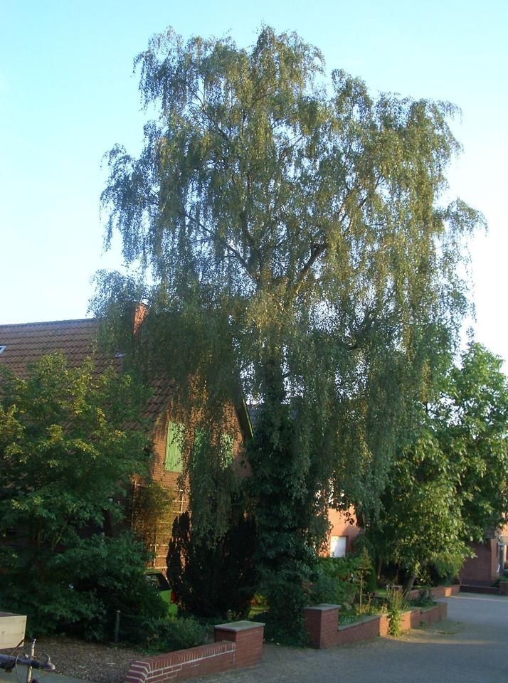 Thumbnail-Haus am wunderschönen Teutoburger Wald