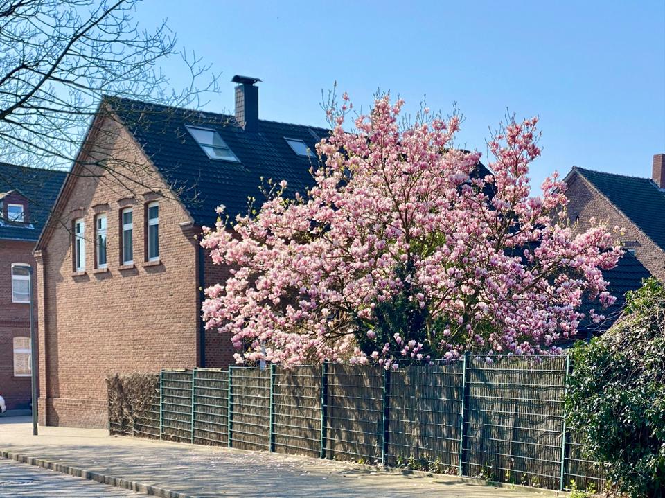 Thumbnail-Liebevoll renoviertes Haus in GE-Erle (Nähe Gräfte-Siedlung)