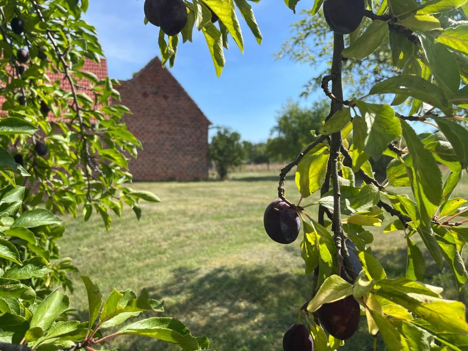 Thumbnail-VIER-SEITEN-HOF in Spremberg direkt vom Eigentümer