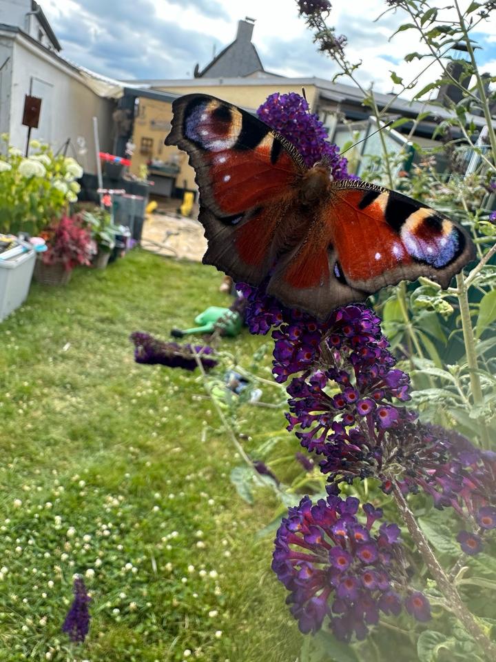 Thumbnail-Doppelhaushälfte zu Verkaufen